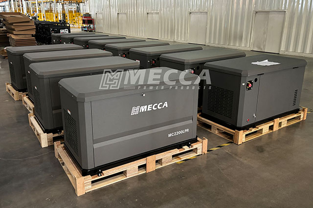 Gerador de combustível duplo 8KW-24KW GLP/NG para espera doméstica 